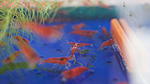 DSC09014