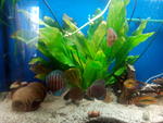 IMG 20150604 143437