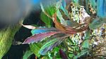 P 20150522 091451