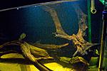 20150605 IMG 6067