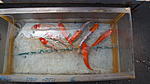 DSC09066