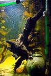 20150605 IMG 6071
