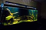 20150605 IMG 6074