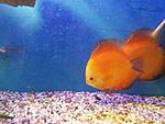 image 7452ac282449baa52054393dcd73bd3751baad374d16a337efad8728cd41550e V
