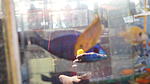 DSC09034