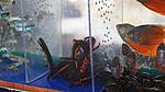 DSC09040