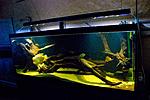 20150605 IMG 6072