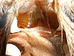 DSC01413