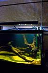 20150605 IMG 6066