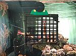 IMG 20150527 104637