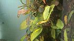 P 20150525 082136 NT