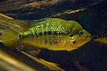 20150605 IMG 6054