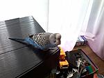 20150530 101758