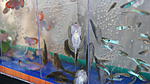 DSC09045