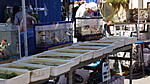 DSC09070