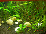  DSCN3712