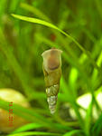  DSCN3684