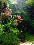 IMG 20150512