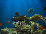IMG 4308