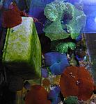 DSCN3110