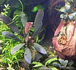 DSCN4673