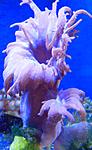 DSCN2677