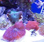 DSCN1770