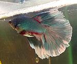 IMG 20150619 131117 1