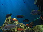 IMG 4310