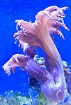 DSCN2659
