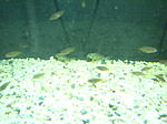 IMG 4314