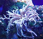 DSCN2663