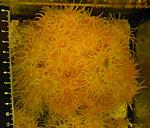 DSCN3151