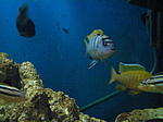 IMG 4301