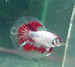 IMG 20150619 190252 1