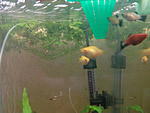 IMG 20150613 130145[1]