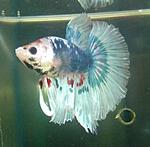 IMG 20150619 190347 1