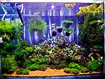 DSCF2404