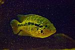 20150626 IMG 6150