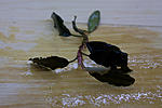 IMG 7530