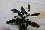 IMG 7486