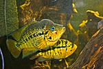 20150626 IMG 6166