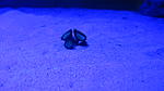 IMG 9083