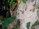IMG 20150712 073006