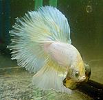 IMG 20150629 184527 1