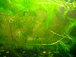 IMG 20150621 202321