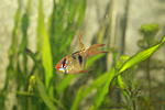 IMG 7875