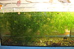 IMG 7811