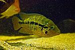 20150626 IMG 6152