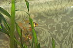 IMG 7840
